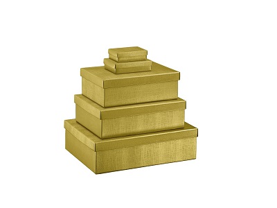 luxe verpakking doos deksel goud